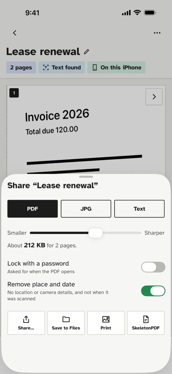 The share sheet with PDF, JPG and Text, a size slider, a password switch and Remove place and date